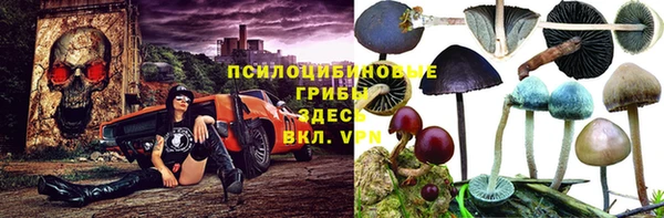 стаф Белоозёрский
