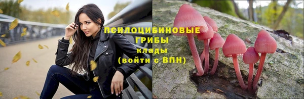 твердый Белокуриха